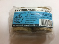 IMG_09725